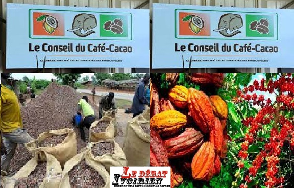 Conseil du CAFE CACAO