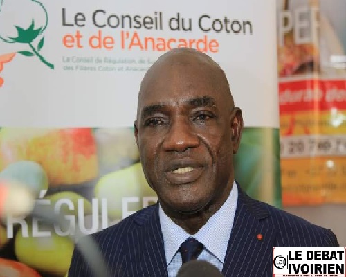 Côte d’Ivoire-plus rien ne va à la Filière Anacarde : le DG Adama Coulibaly terriblement introuvable ledebativoirien.net