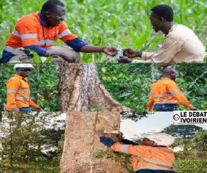 Journée mondiale de l’Environnement : Endeavour Mining réaffirme son engagement envers la protection de la biodiversité