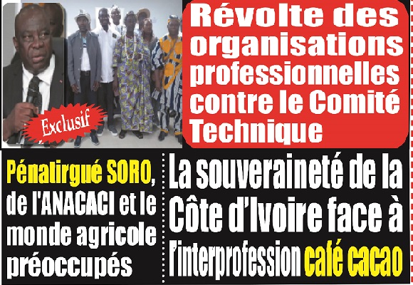 Filière café cacao en Côte d’Ivoire : les  organisations des producteurs ne comprennent plus rien à ce que fait le Comité Technique , ledebativoirien.net